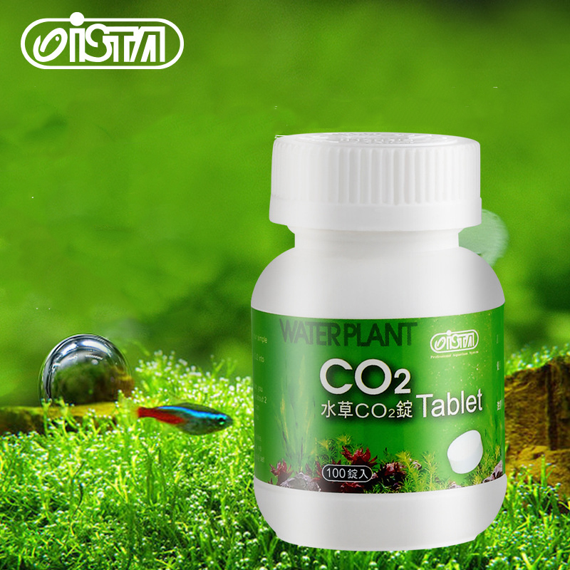 Planted Aquarium Without Co2 - ISTA 어항 수족관 CO2 정제, 느린