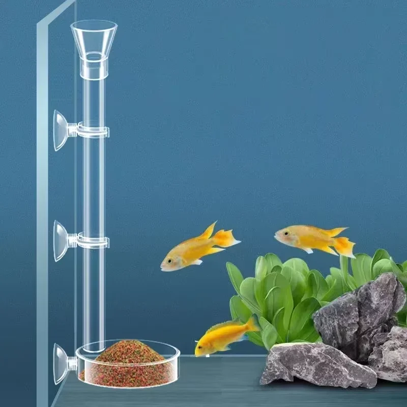 Planted Aquarium Youtube - 수족관 유리 먹이통 & 새우 먹이