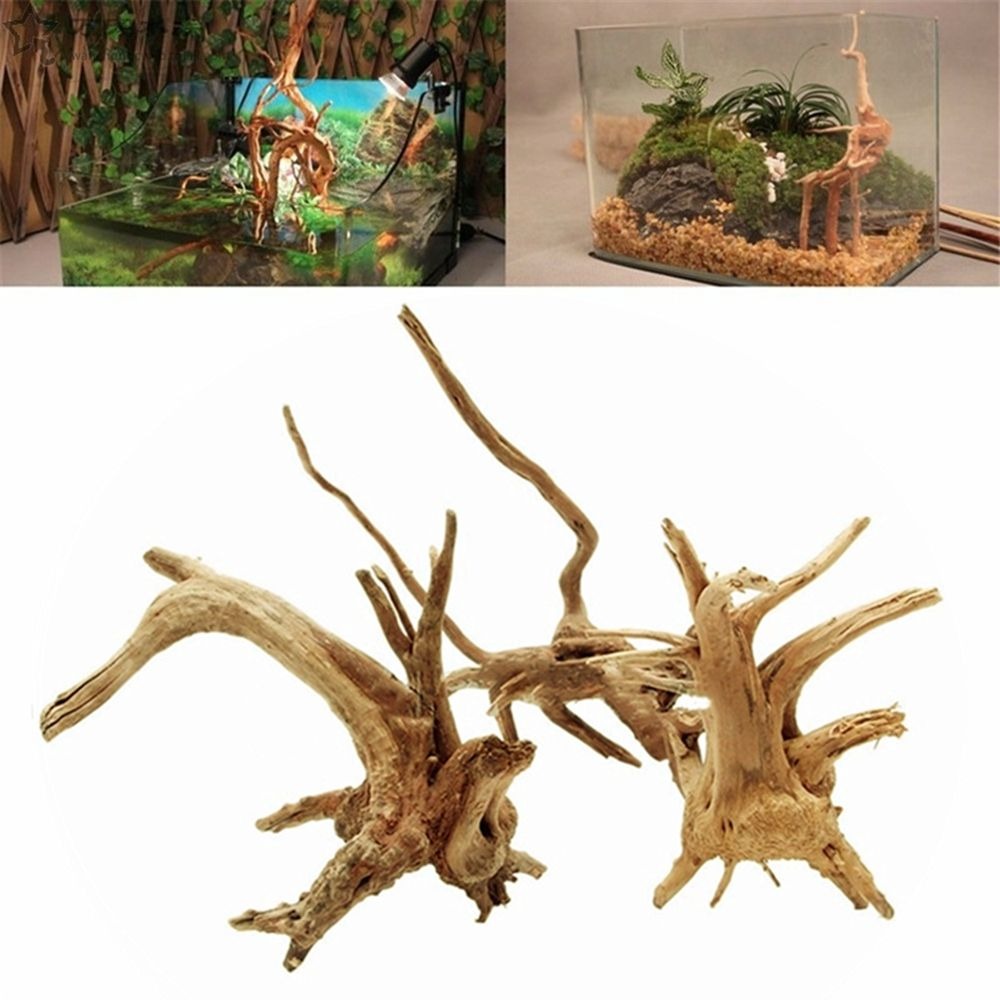 Aquarium Plant Root Tabs - 천연 나무 수조 장식, 식물 그루터기