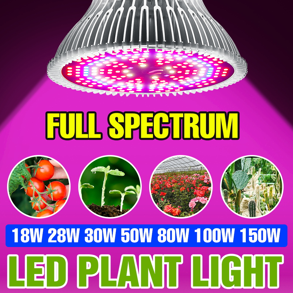 Aquarium Plant Root Tabs - 150W E27 풀 스펙트럼 식물 전구