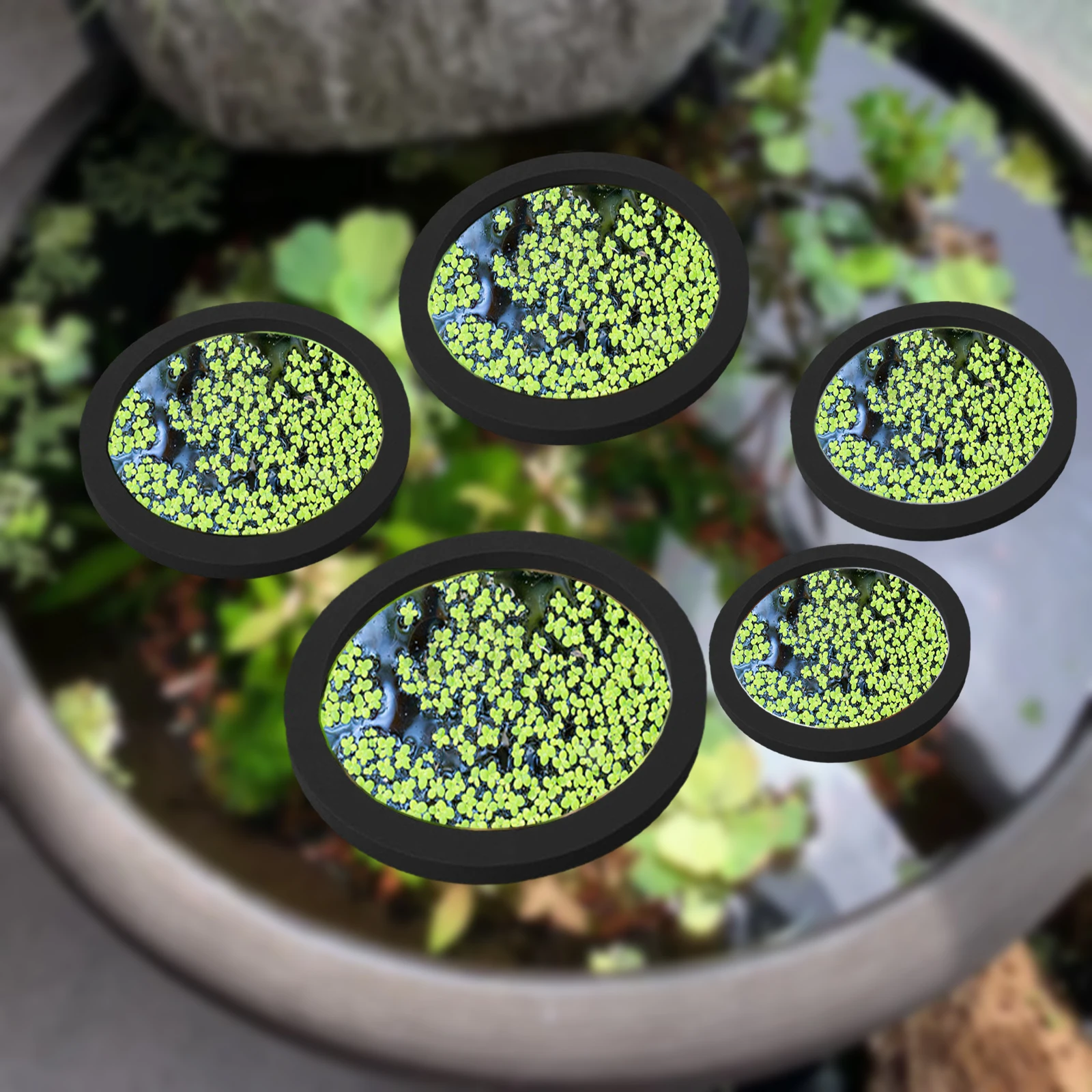 Aquarium Plant - EVA 물고기 먹이 고리 수족관 플로팅