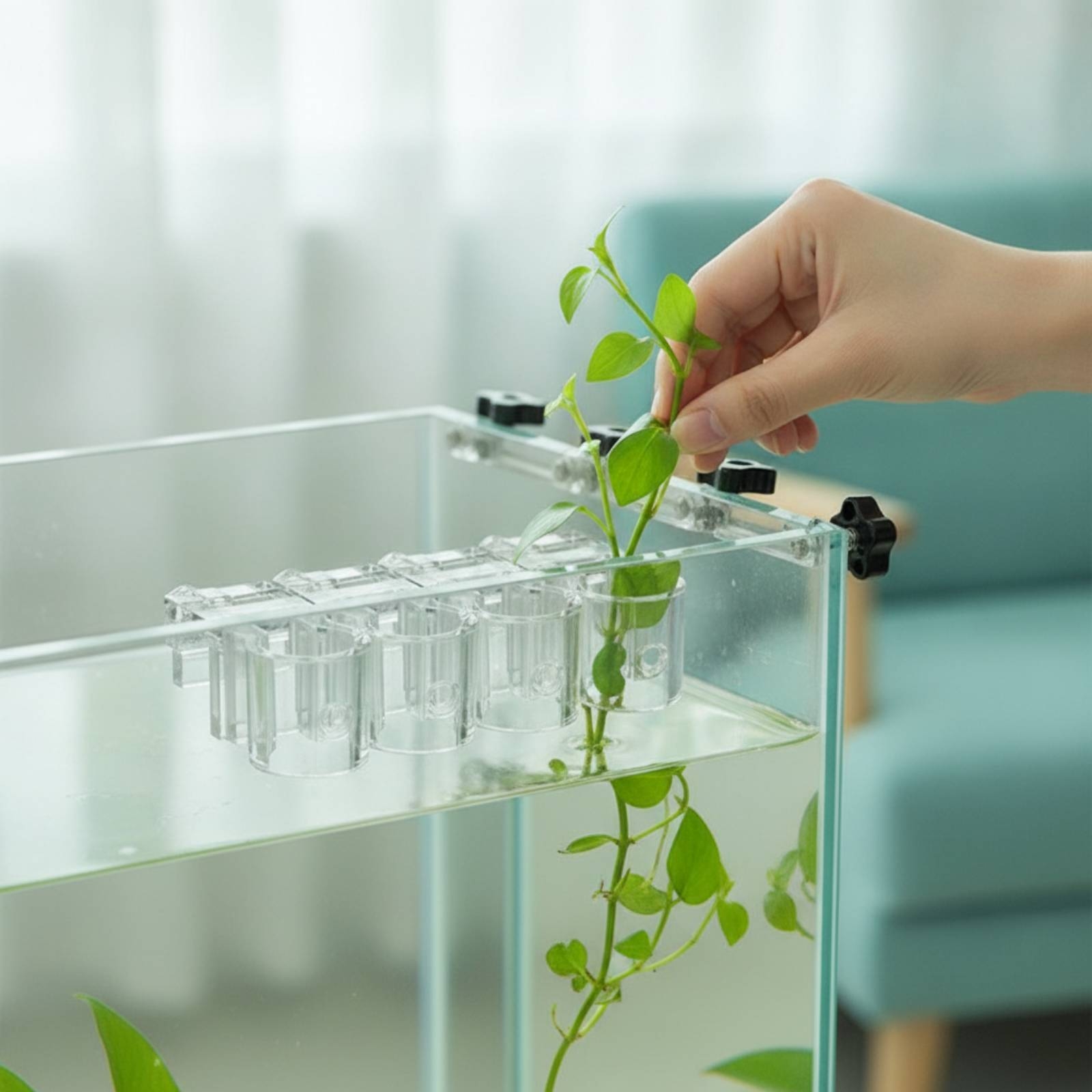 6개 수족관 플랜터 투명 수경 재배 지지 클립(나사 포 - Aquarium Plant 리뷰 및 가격