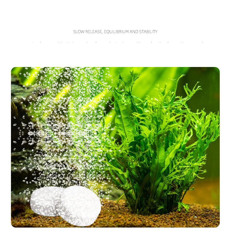 ISTA 어항 수족관 CO2 정제, 느린 방출 식물 비 - Planted Aquarium Without Co2 리뷰 및 가격