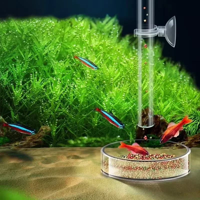수족관 유리 먹이통 & 새우 먹이 그릇 세트 - 크리스 - Planted Aquarium Youtube 리뷰 및 가격