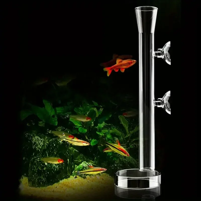 수족관 유리 먹이통 & 새우 먹이 그릇 세트 - 크리스 - Planted Aquarium Youtube 리뷰 및 가격