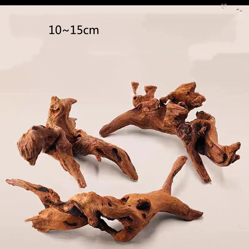 자연 나무 줄기 수족관 장식 가라 앉은 나무 삽화 장식 - Aquarium Plant Root Tabs 리뷰 및 가격