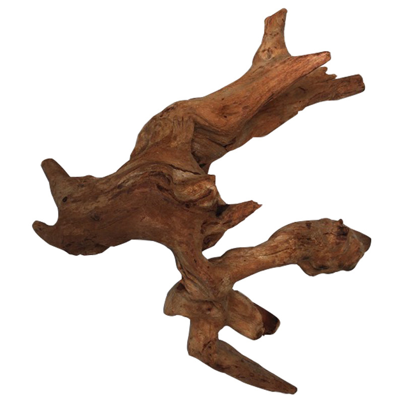 자연 나무 줄기 수족관 장식 가라 앉은 나무 삽화 장식 - Aquarium Plant Root Tabs 리뷰 및 가격