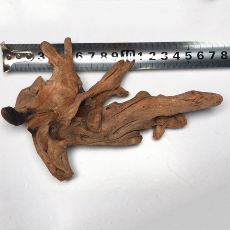 자연 나무 줄기 수족관 장식 가라 앉은 나무 삽화 장식 - Aquarium Plant Root Tabs 리뷰 및 가격