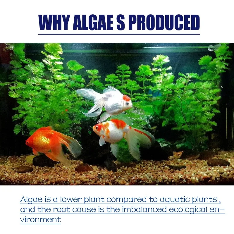 50g 고효율 수족관 연못 조류 및 이끼 제거제, 녹조 - Planted Aquarium Equipment 리뷰 및 가격