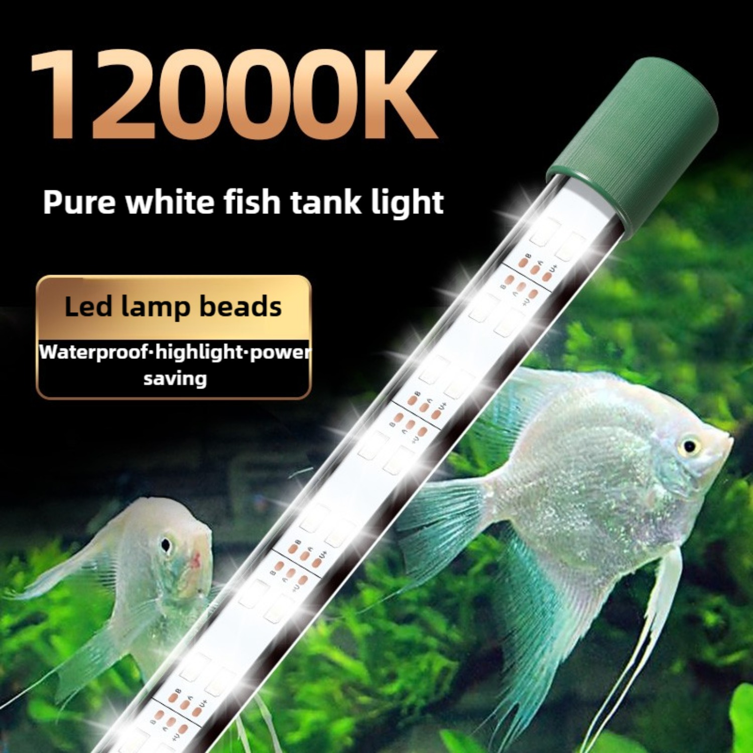 LED 수족관 조명 튜브 25W 어항 조명 방수 백색광 - Planted Aquarium Youtube 리뷰 및 가격