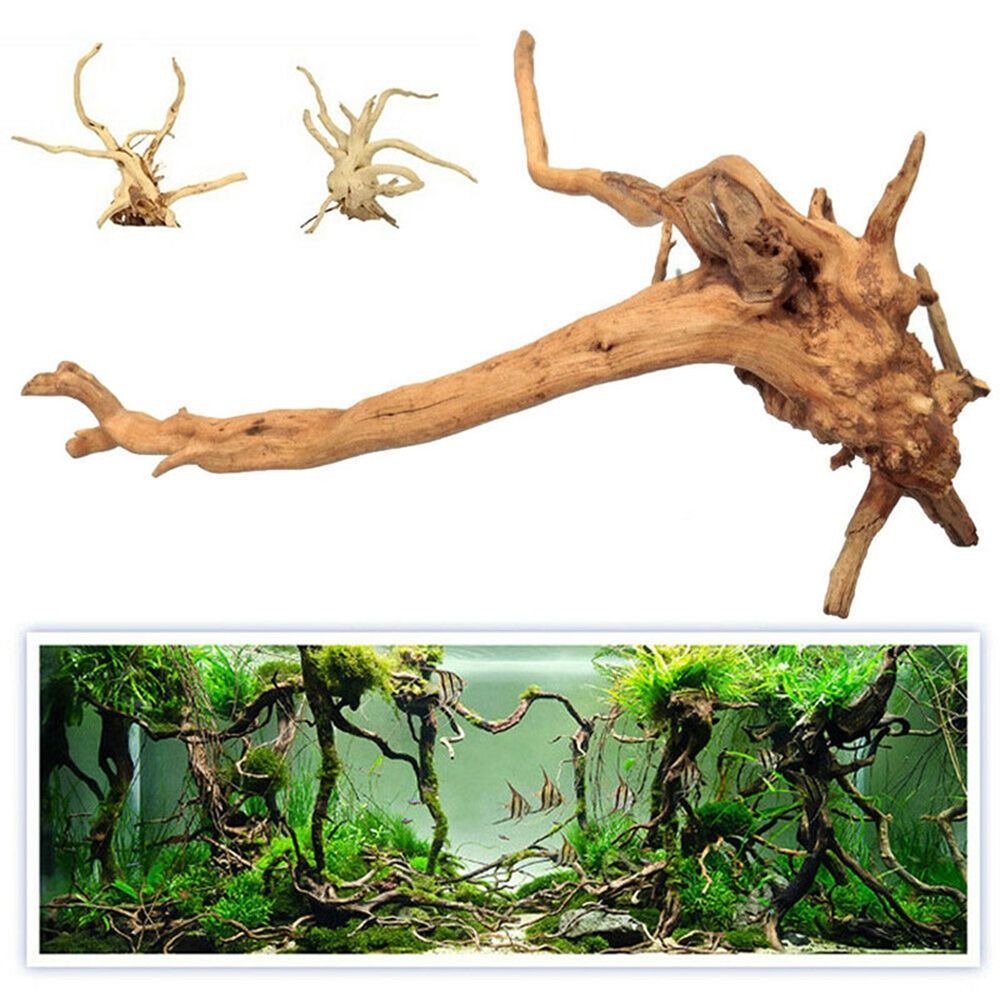 천연 나무 수조 장식, 식물 그루터기 나무 줄기, 유목 - Aquarium Plant Root Tabs 리뷰 및 가격