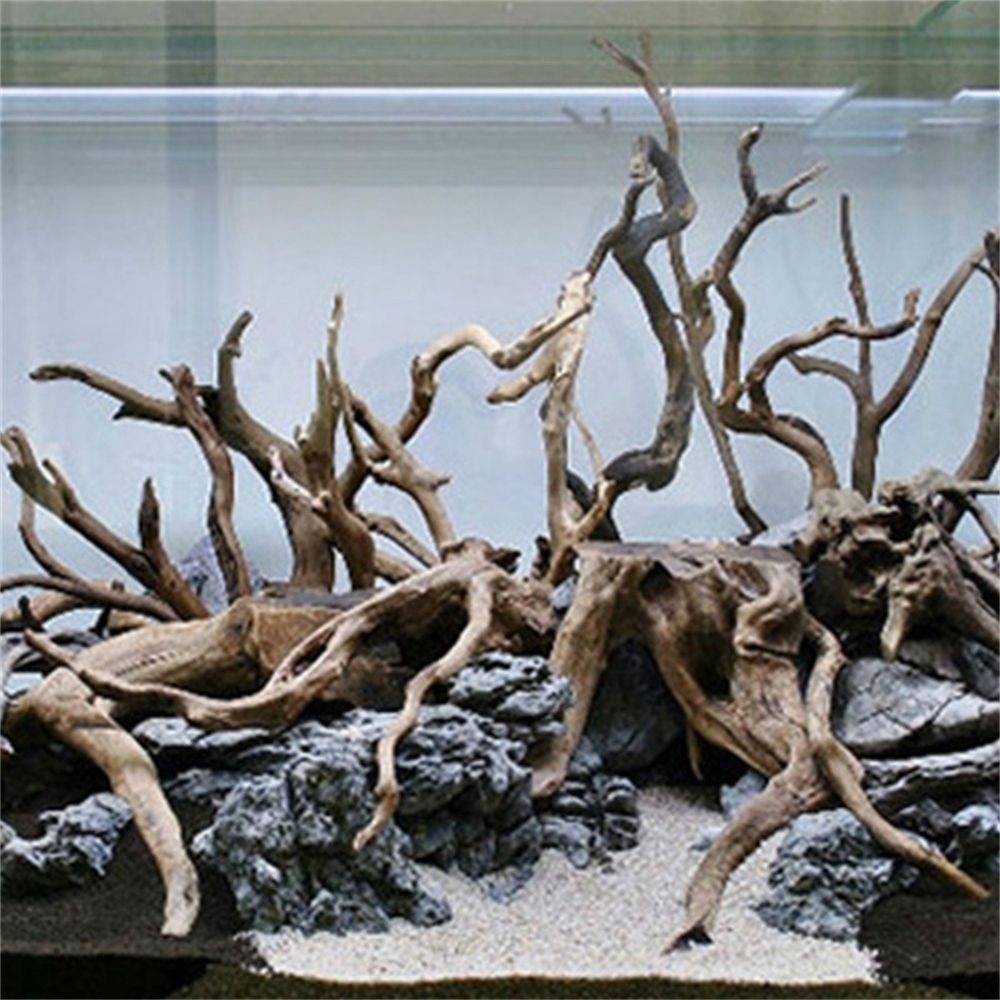 천연 나무 수조 장식, 식물 그루터기 나무 줄기, 유목 - Aquarium Plant Root Tabs 리뷰 및 가격