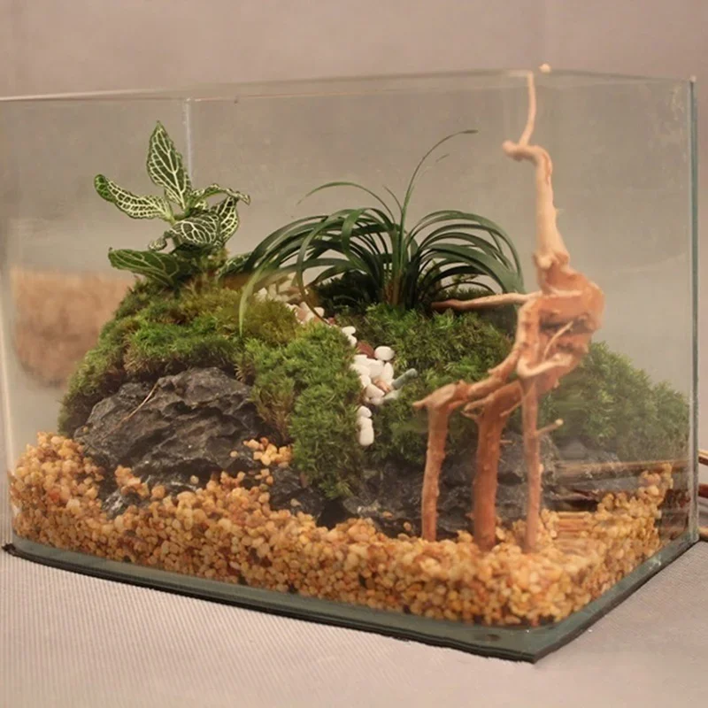 천연 나무 줄기 유목 수족관 어항, 파충류 실린더 뿌리 - Aquarium Plant Root Tabs 리뷰 및 가격