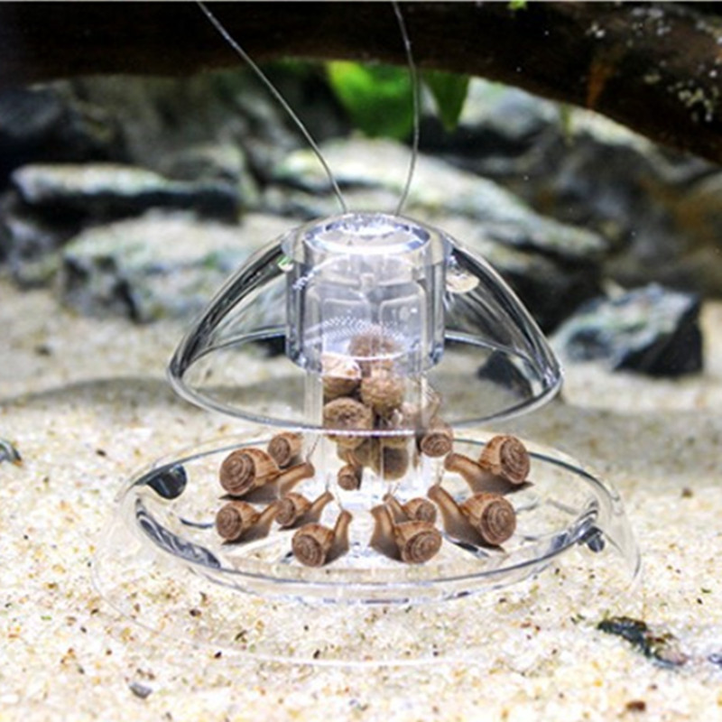 물고기 탱크 수족관 클리너, 달팽이 트랩 캐처, 식물  - Planted Aquarium Products 리뷰 및 가격