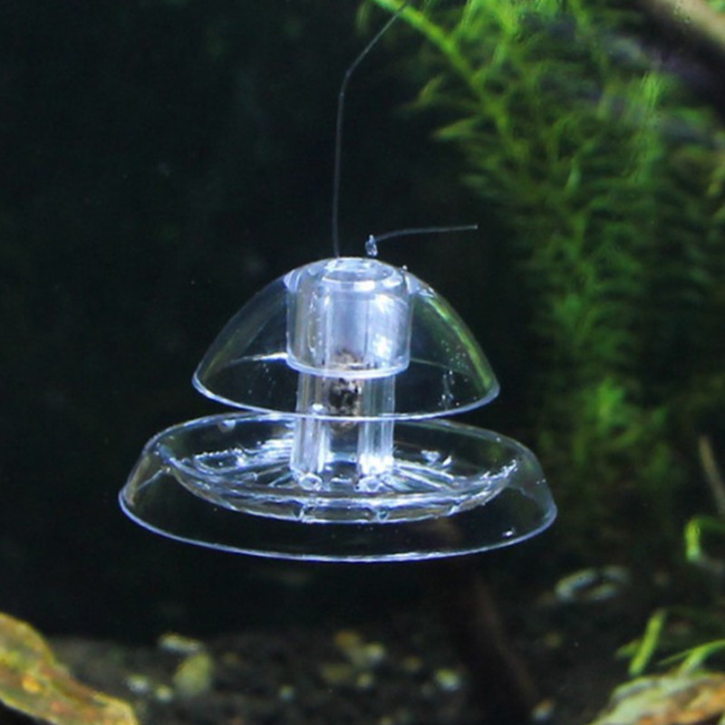 물고기 탱크 수족관 클리너, 달팽이 트랩 캐처, 식물  - Planted Aquarium Products 리뷰 및 가격