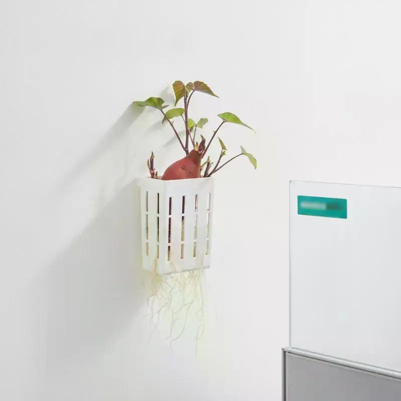 1개 수경재배 지지 바구니 어항 식물 재배 컵 수초 수 - Aquarium Plant 리뷰 및 가격