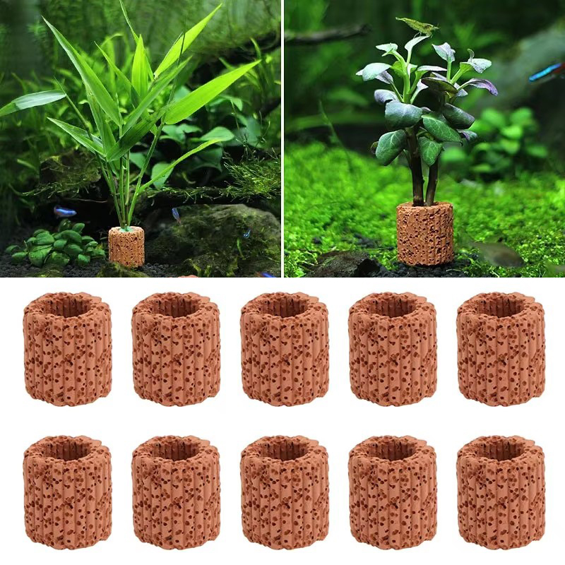수족관 풍경을위한 수생 식물 고정 링 세라믹 수생 식물 - Planted Aquarium Products 리뷰 및 가격