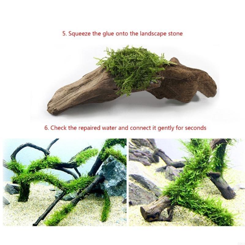 수족관 조경용 식물-잔디 접착제 산호 인스턴트 글루 어 - Aquarium Plant Glue 리뷰 및 가격