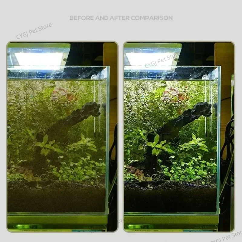 수조 청소 도구 평면 모래 조류 제거 이중 용도 유리  - Planted Aquarium Kit 리뷰 및 가격