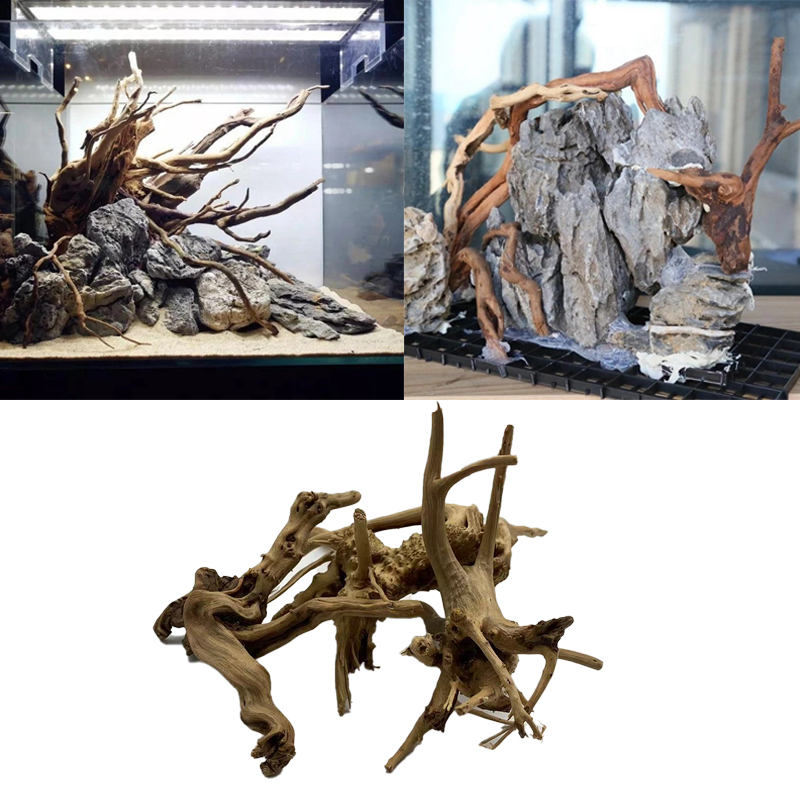 자연 나무 줄기 유목 수족관 물고기 탱크 식물 나무 장 - Aquarium Plant Root Tabs 리뷰 및 가격