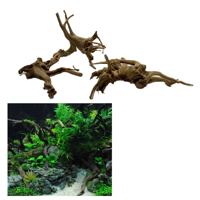 자연 나무 줄기 유목 수족관 물고기 탱크 식물 나무 장 - Aquarium Plant Root Tabs 리뷰 및 가격