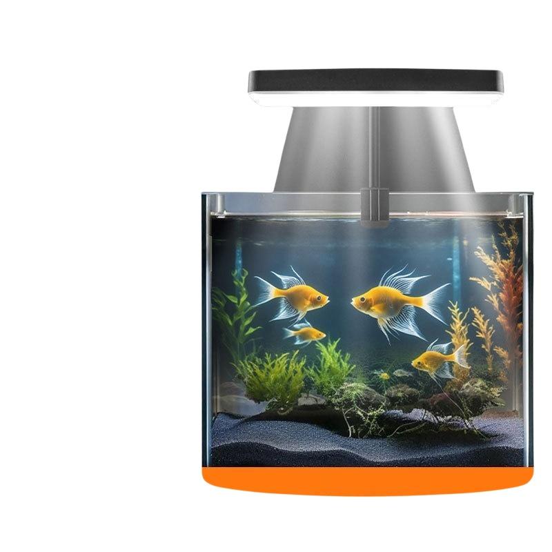 USB 수족관 클립 조명, 가정 사무실 데스크탑 어항  - Aquarium Plant Light 리뷰 및 가격