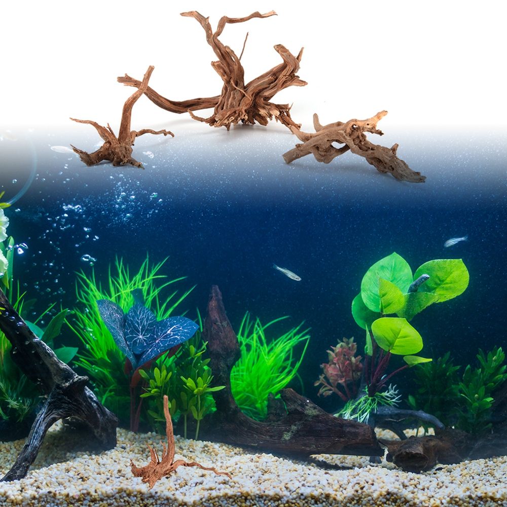 나무 천연 트렁크 유목 나무 수족관 어항 식물 그루터기 - Aquarium Plant Root Tabs 리뷰 및 가격