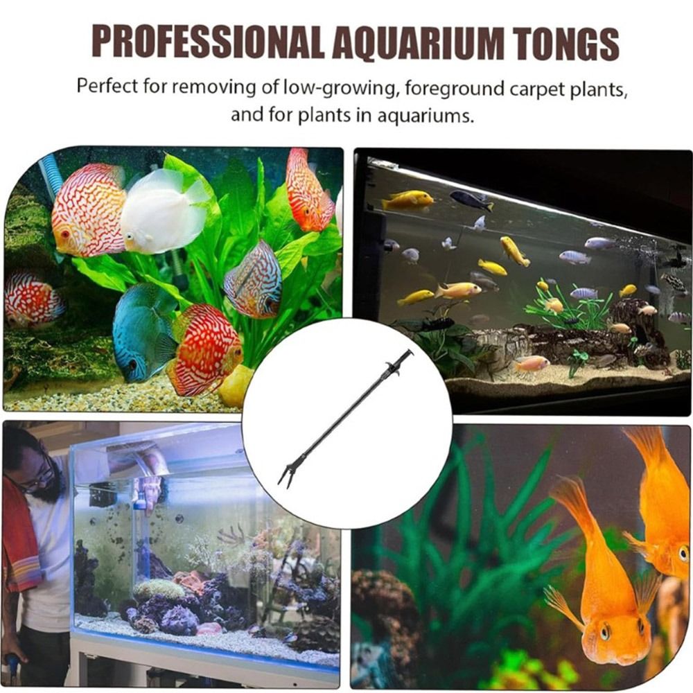 1개 50cm 수족관 플라스틱 집게 검정 플라스틱 수초 - Non Planted Aquarium Fish 리뷰 및 가격
