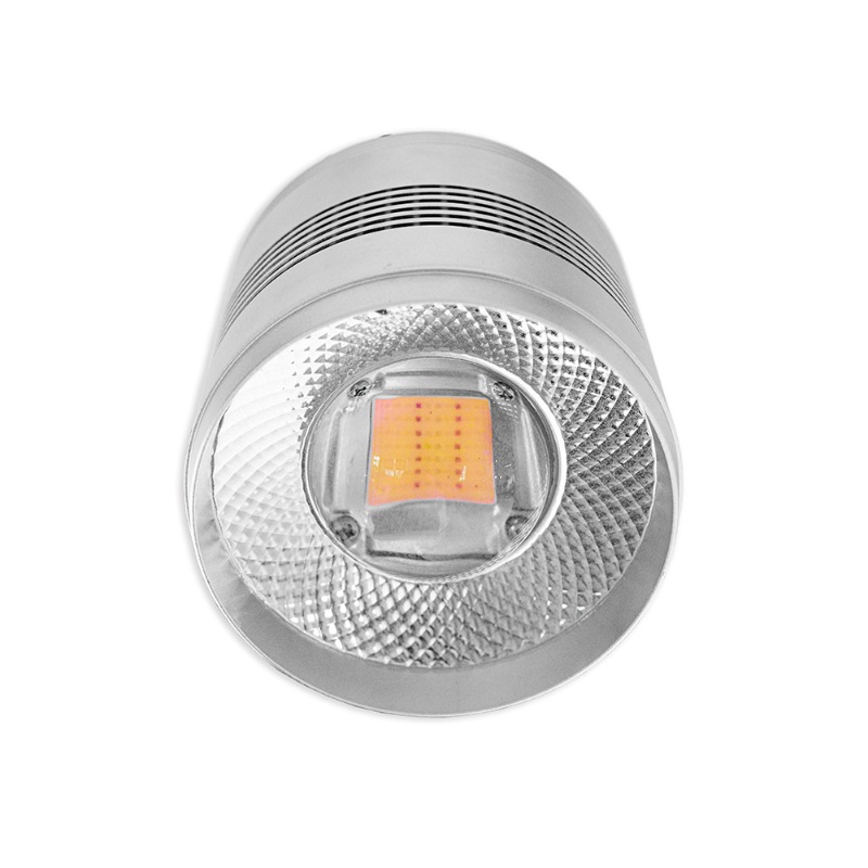 70W LED 수족관 조명 (담수 수초 수조용, 풀 스 - Planted Aquarium Algae Control 리뷰 및 가격