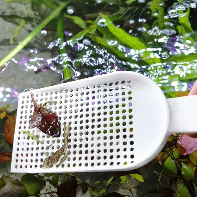 수족관 어항 이물 청소망 미세망 수생 식물 청소 도구  - Planted Aquarium Products 리뷰 및 가격