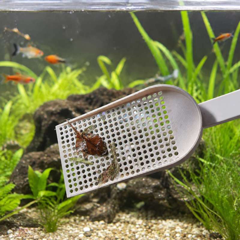수족관 어항 이물 청소망 미세망 수생 식물 청소 도구  - Planted Aquarium Products 리뷰 및 가격