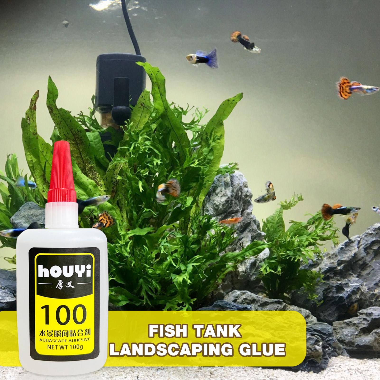 50/100g 투명 순간접착제 아쿠아스케이핑 방수 수족 - Aquarium Plant Glue 리뷰 및 가격