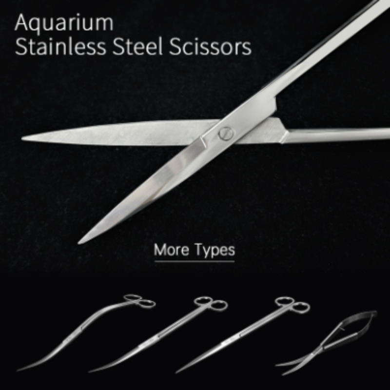위크 아쿠아 스테인리스 스틸 수초 가위 시리즈, 어항  - Planted Aquarium Equipment 리뷰 및 가격