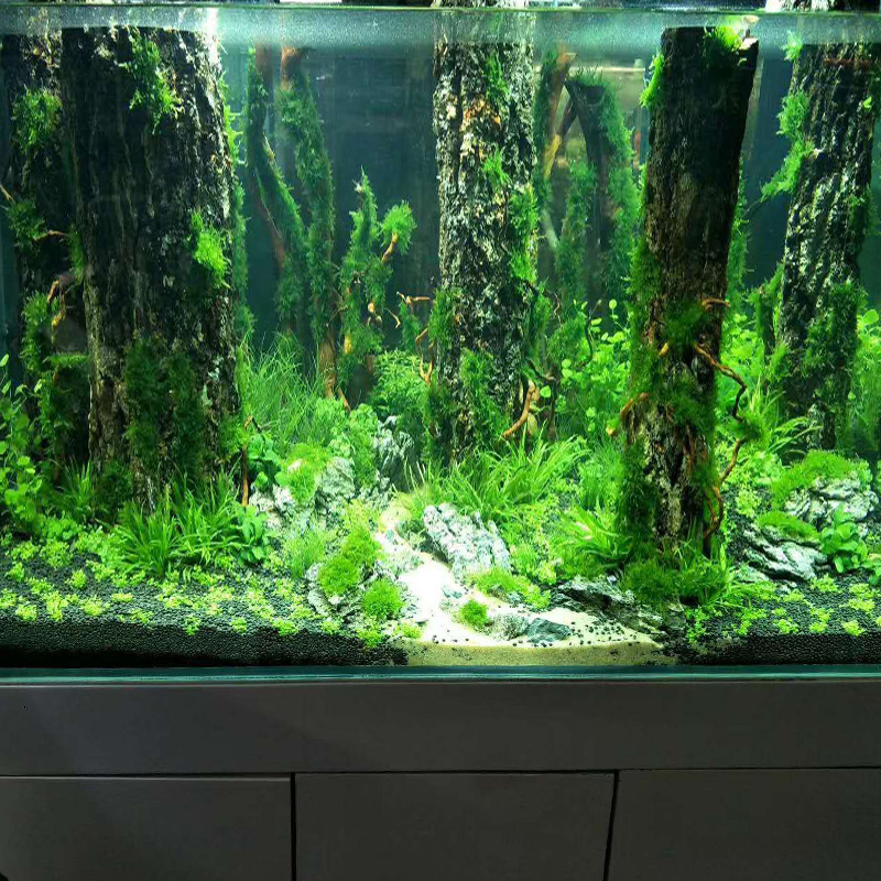 시뮬레이션 나무 줄기 싱킹 나무 유목 물고기 탱크 장식 - Aquarium Plant Root Tabs 리뷰 및 가격