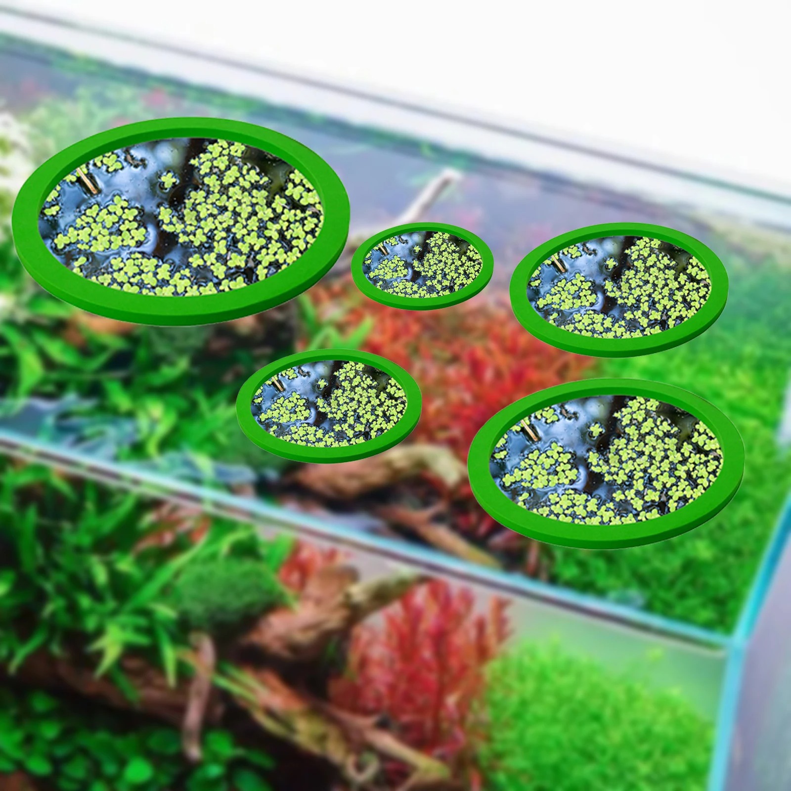 EVA 물고기 먹이 고리 수족관 플로팅 식물, 코랄 어 - Aquarium Plant 리뷰 및 가격