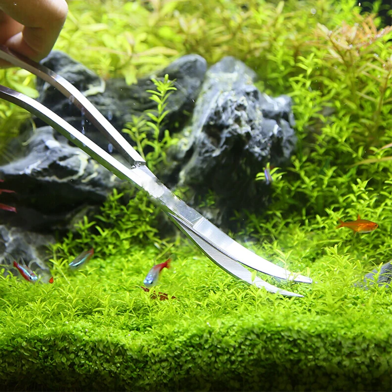 수족관 가위 도구 물고기 탱크 족집게 식물 웨이브 가위 - Planted Aquarium Kit 리뷰 및 가격