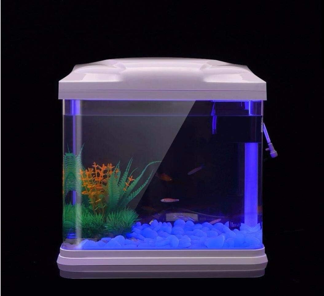 물고기 탱크 바위 정원 물고기 탱크 수족관 식물 냄비  - Planted Aquarium Equipment 리뷰 및 가격