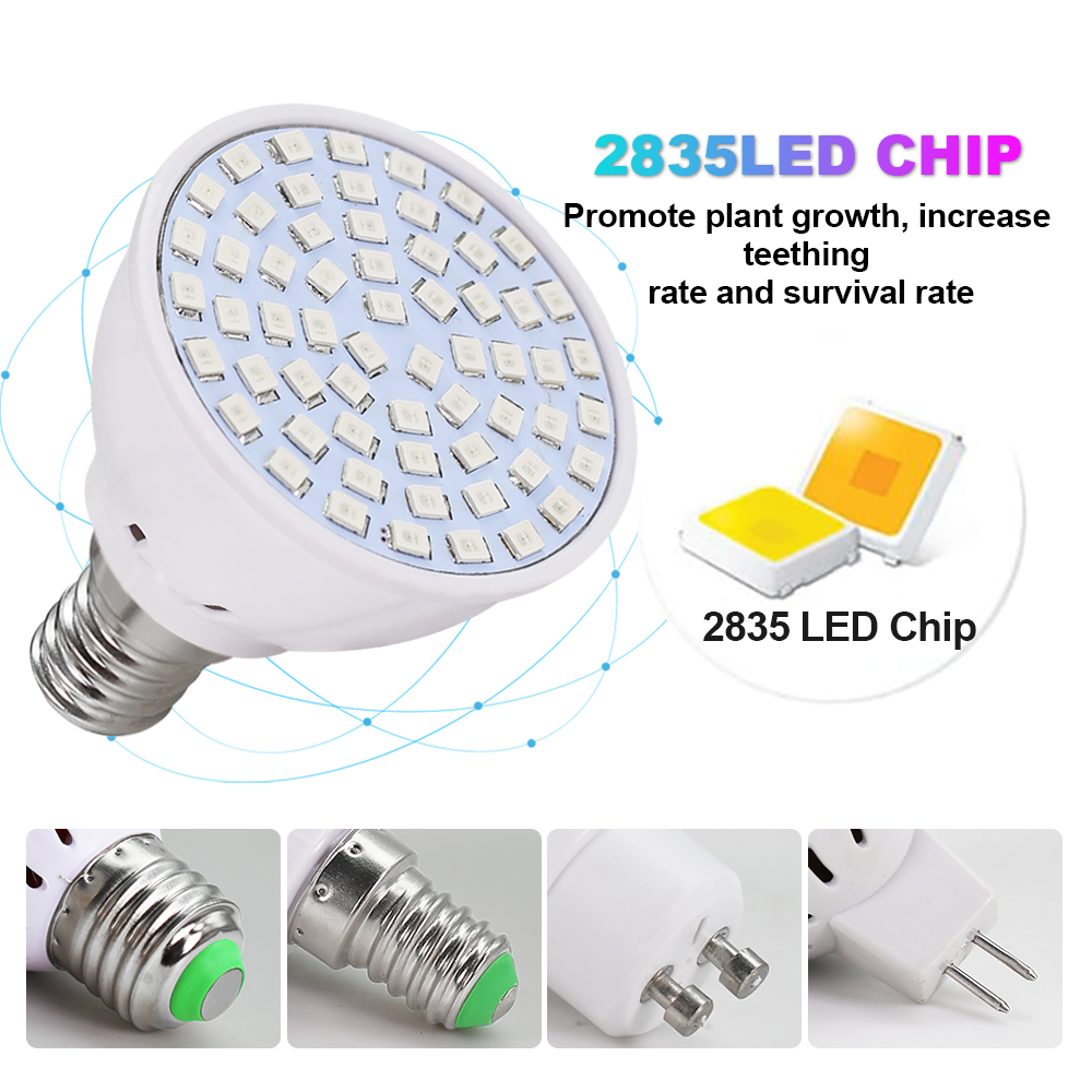 Led 성장 전구 220V E27 60 80LED 전체 - Aquarium Plant Root Tabs 리뷰 및 가격