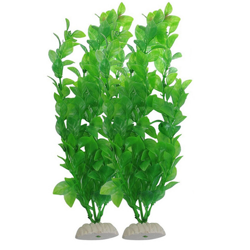 4개입 생생한 인조 수족관 식물 엔타다 파쇼로이데스,  - Non Planted Aquarium Fish 리뷰 및 가격