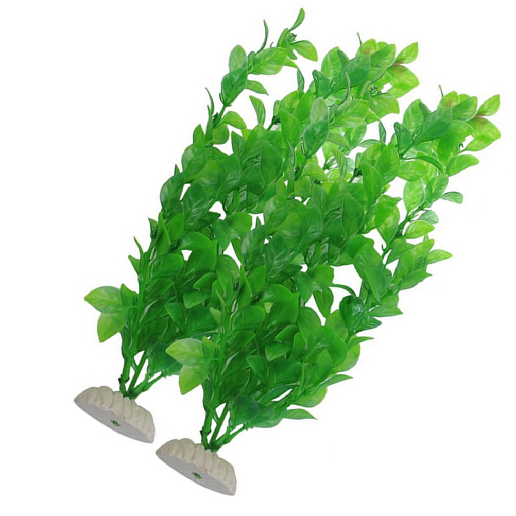 4개입 생생한 인조 수족관 식물 엔타다 파쇼로이데스,  - Non Planted Aquarium Fish 리뷰 및 가격