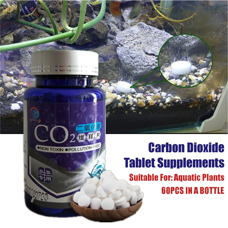 수생 식물 용 CO2 타블렛 이산화탄소 디퓨저 수생 잎 - Aquarium Plant Vitamins 리뷰 및 가격