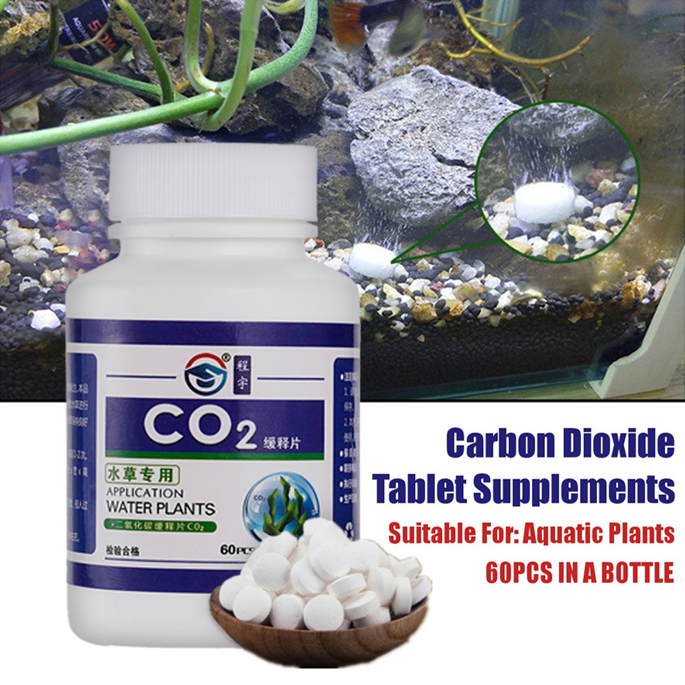 수생 식물 용 CO2 타블렛 이산화탄소 디퓨저 수생 잎 - Aquarium Plant Vitamins 리뷰 및 가격