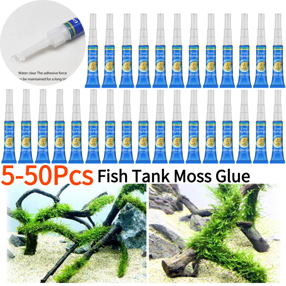 50-5Pcs 물고기 탱크 조경 이끼 접착제 수족관 수 - Aquarium Plant Glue 리뷰 및 가격
