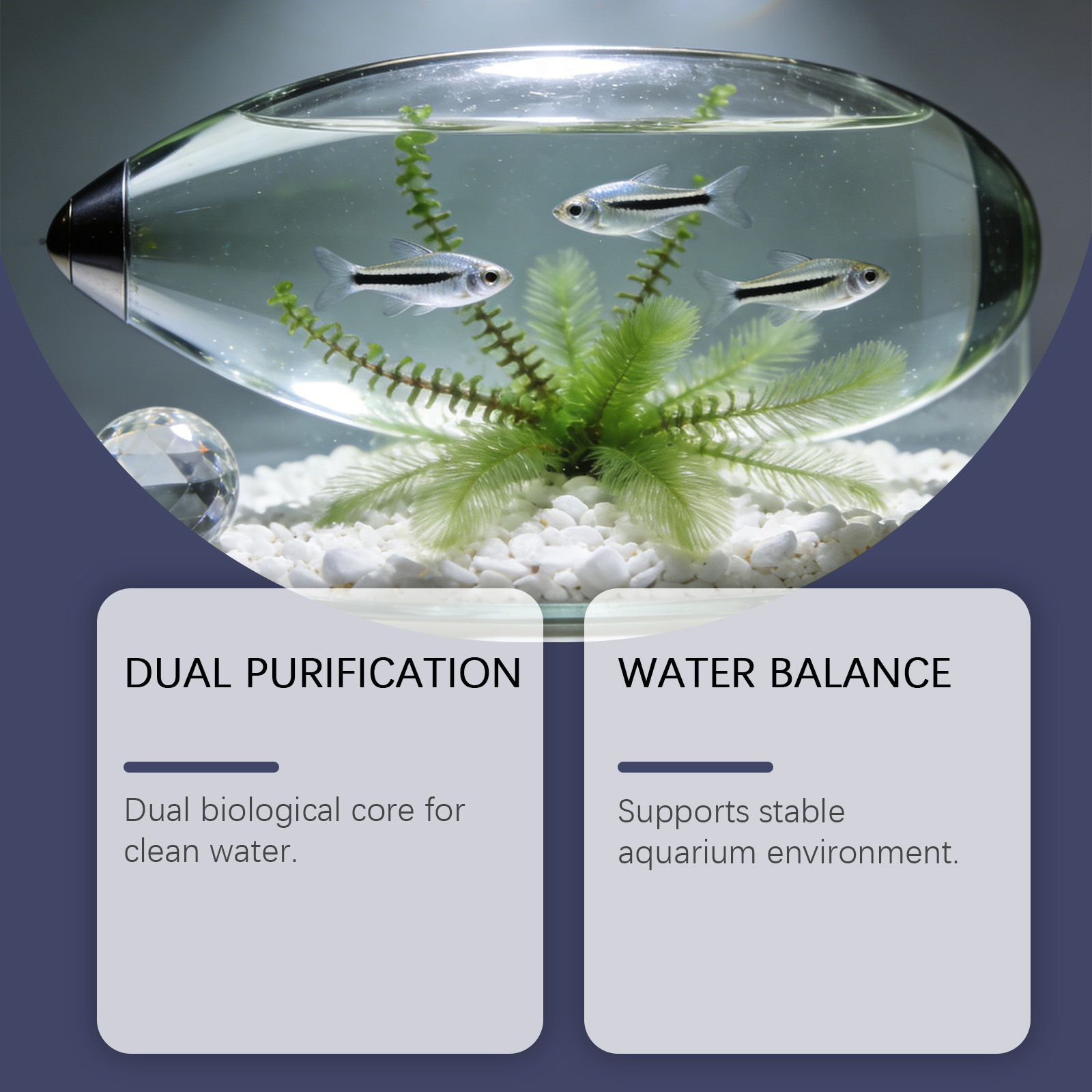 수족관용 조류 제거제, 흐린 녹색 물을 빠르게 정화,  - Planted Aquarium Algae Control 리뷰 및 가격
