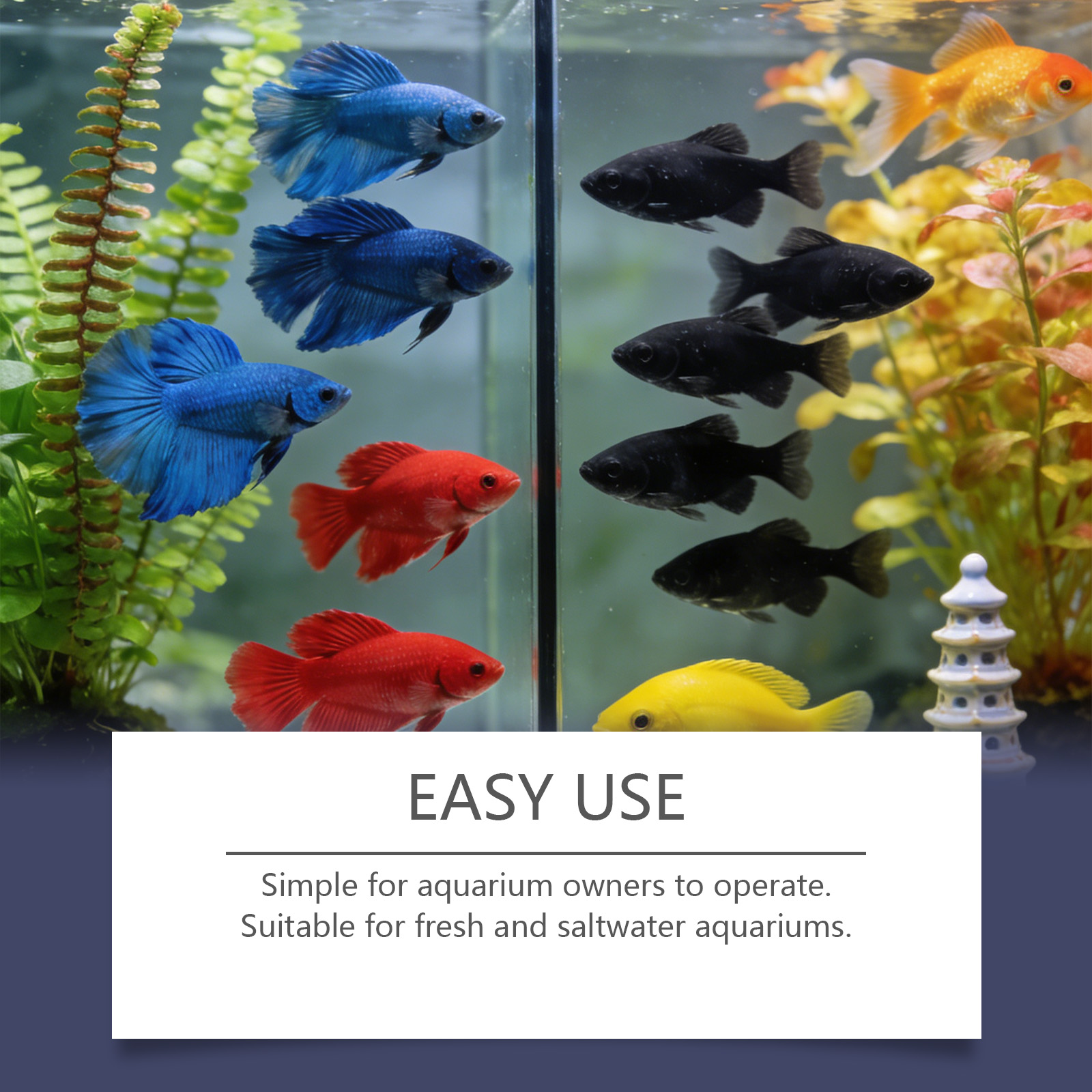 수족관용 조류 제거제, 흐린 녹색 물을 빠르게 정화,  - Planted Aquarium Algae Control 리뷰 및 가격