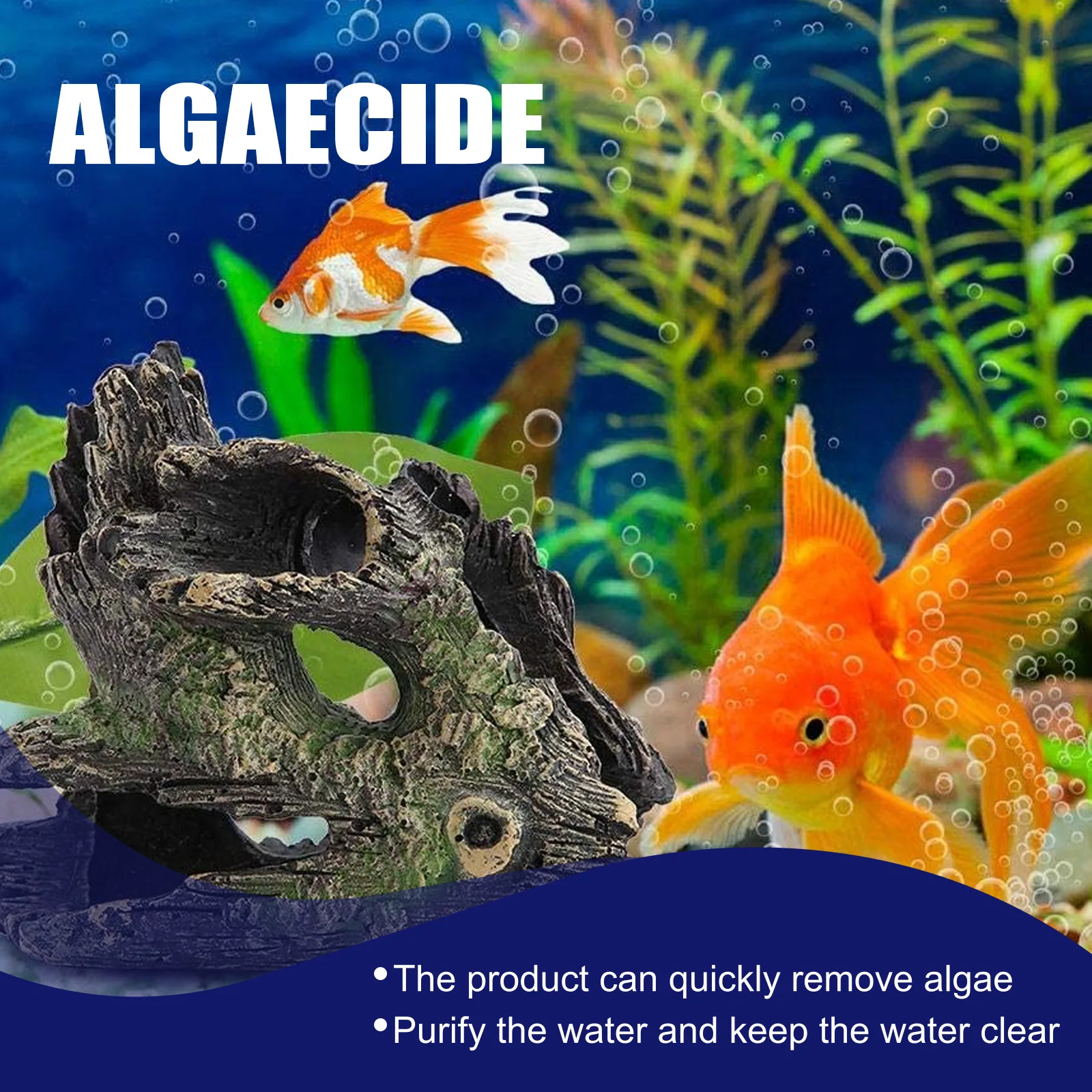 수족관 조류 제거제 고효율 안전 포뮬러 빠른 작용 경제 - Planted Aquarium Algae Control 리뷰 및 가격