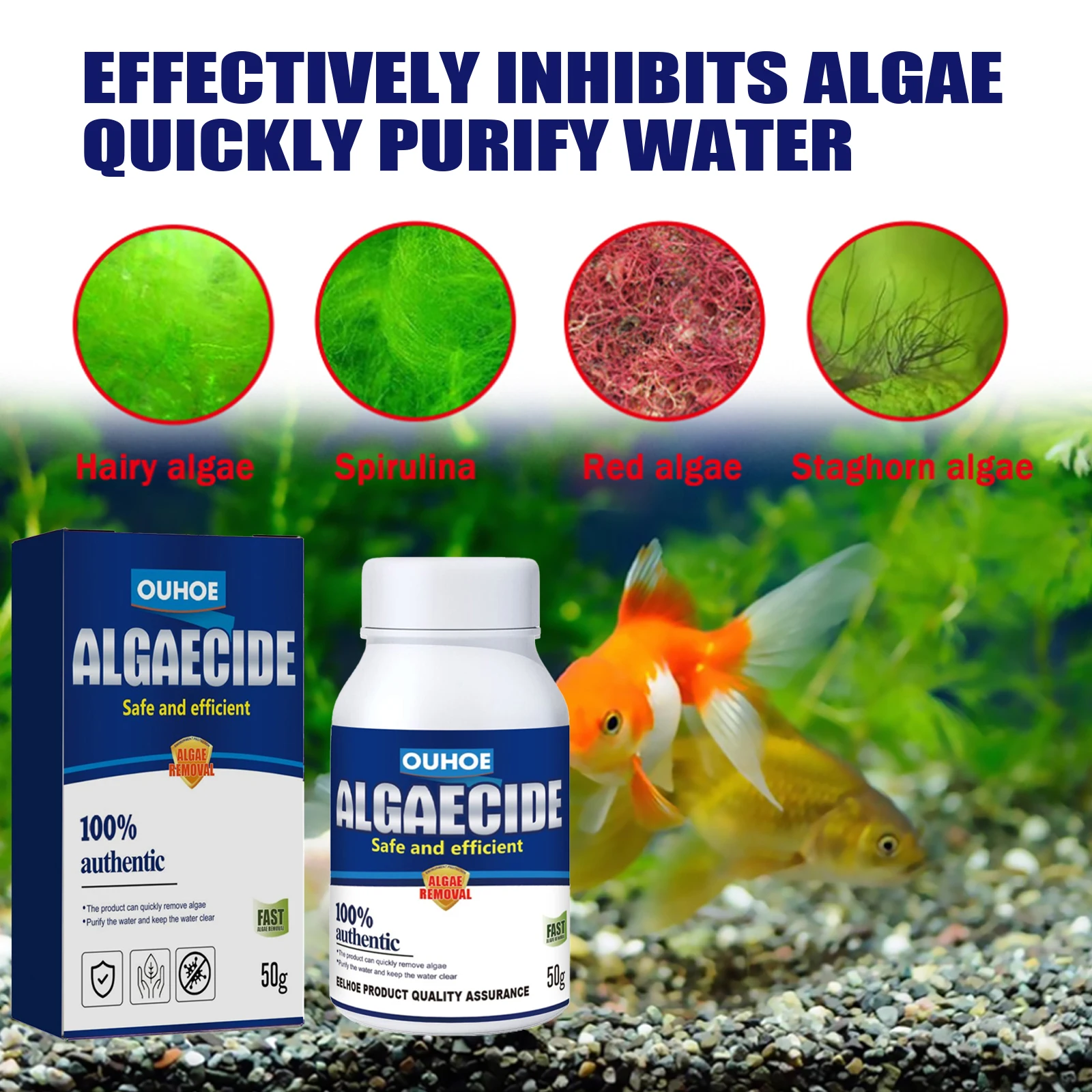 수족관 조류 제거제 고효율 안전 포뮬러 빠른 작용 경제 - Planted Aquarium Algae Control 리뷰 및 가격