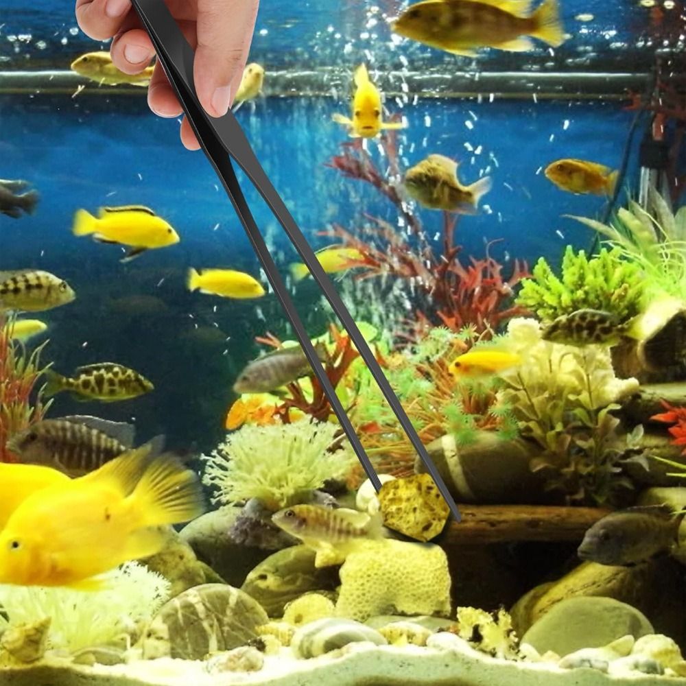 스테인리스 스틸 롱 아쿠아리움 핀셋 미끄럼 방지 내구성 - Non Planted Aquarium Fish 리뷰 및 가격