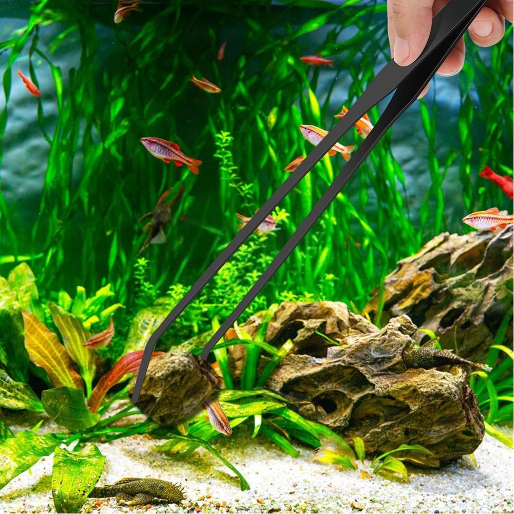 스테인리스 스틸 롱 아쿠아리움 핀셋 미끄럼 방지 내구성 - Non Planted Aquarium Fish 리뷰 및 가격