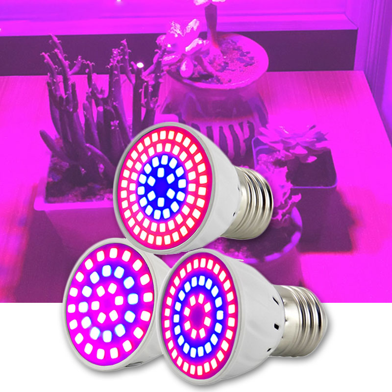 2/3 헤드 LED 식물 성장 조명 램프 실내 온실 C - Aquarium Plant Root Tabs 리뷰 및 가격